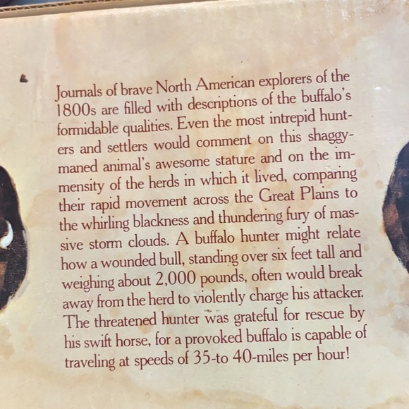 Avon American Buffalo Deep woods aftershave - Picture 4 of 8